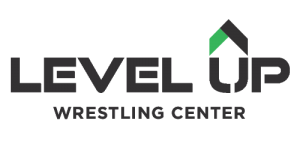 Level Up Logo